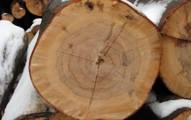 Торцовка-дефектовка древесины